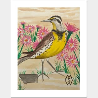 Montana state bird and flower, the meadowlark and bitterroot Posters and Art